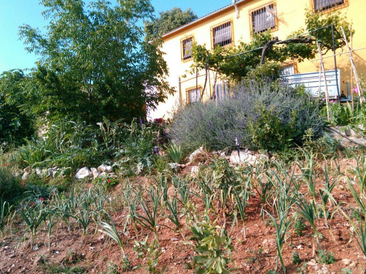 Cortijo De La Cruz Villa Iznájar Kültér fotó